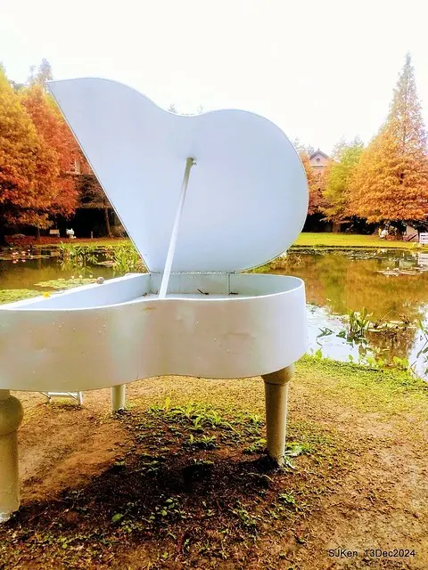 2024.12.13 造訪苗栗縣南庄雲水溫泉度假莊園落羽松湖秘境莊園(Bald Cypress lake landscape at Cloud-Water Resort Villa),   , Miaoli county, North Taiwan, photos by SJKen , Dec 13, 2024.