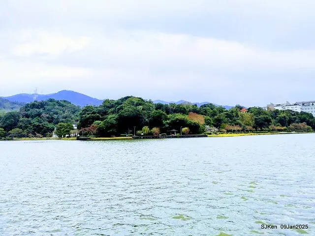 台北大湖公園與碧湖公園水鳥(Waterbirds at the Big lake park & Green lake park) , Taipei, Taiwan, SJKen , 09 Jan 2025.
