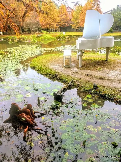 2024.12.13 造訪苗栗縣南庄雲水溫泉度假莊園落羽松湖秘境莊園(Bald Cypress lake landscape at Cloud-Water Resort Villa),   , Miaoli county, North Taiwan, photos by SJKen , Dec 13, 2024.