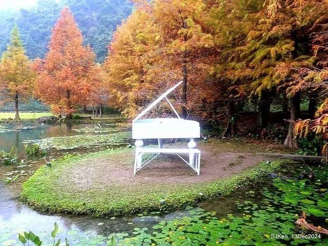 2024.12.13 造訪苗栗縣南庄雲水溫泉度假莊園落羽松湖秘境莊園(Bald Cypress lake landscape at Cloud-Water Resort Villa),   , Miaoli county, North Taiwan, photos by SJKen , Dec 13, 2024.