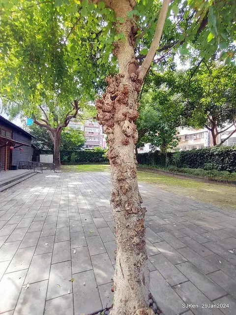 台北市長官邸藝文沙龍(Art and exhibtion restaurant transferred from the old Taipei Mayer house ), Jan 29, 2024, SJKen , Taipei, Taiwan.