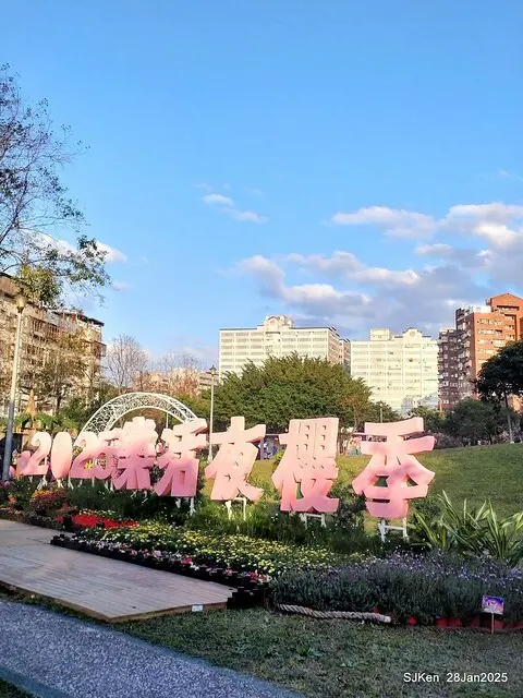 2025內湖樂活公園夜櫻季(Cherry Blossoms exhibition at Naihu park, Taipei, Taiwan,  by SJKen, Jan 28, 2025)