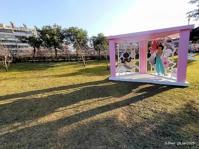 2025內湖樂活公園夜櫻季(Cherry Blossoms exhibition at Naihu park, Taipei, Taiwan,  by SJKen, Jan 28, 2025)