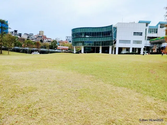 台北大湖公園落羽松(Bald Cypress at Big Lake park, Taipei, Taiwan, Jan 9, 2025, by SJKen)