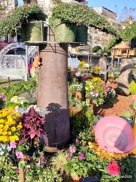 2025內湖樂活公園夜櫻季(Cherry Blossoms exhibition at Naihu park, Taipei, Taiwan,  by SJKen, Jan 28, 2025)