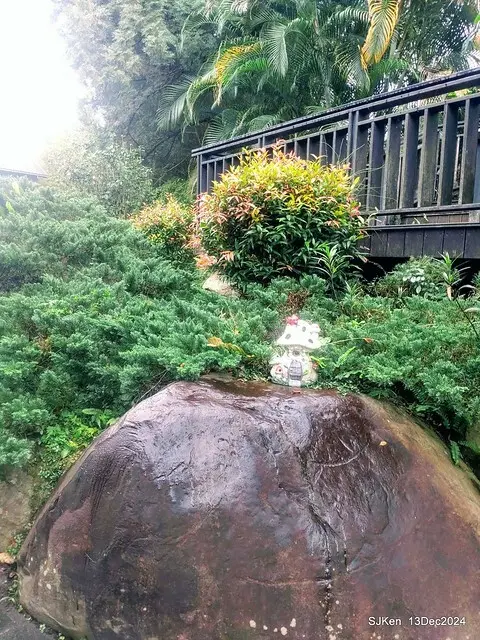 2024.12.13 造訪苗栗縣南庄雲水溫泉度假莊園落羽松湖秘境莊園(Bald Cypress lake landscape at Cloud-Water Resort Villa),   , Miaoli county, North Taiwan, photos by SJKen , Dec 13, 2024.