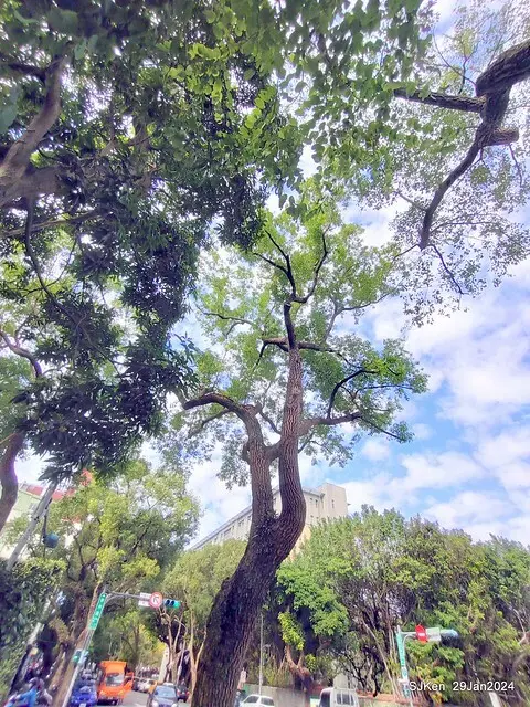 台北市長官邸藝文沙龍(Art and exhibtion restaurant transferred from the old Taipei Mayer house ), Jan 29, 2024, SJKen , Taipei, Taiwan.