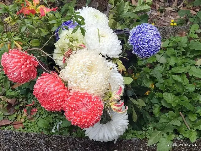 台北市長官邸藝文沙龍(Art and exhibtion restaurant transferred from the old Taipei Mayer house ), Jan 29, 2024, SJKen , Taipei, Taiwan.