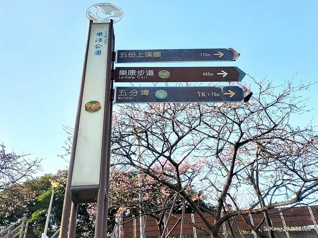 2025內湖樂活公園夜櫻季(Cherry Blossoms exhibition at Naihu park, Taipei, Taiwan,  by SJKen, Jan 28, 2025)