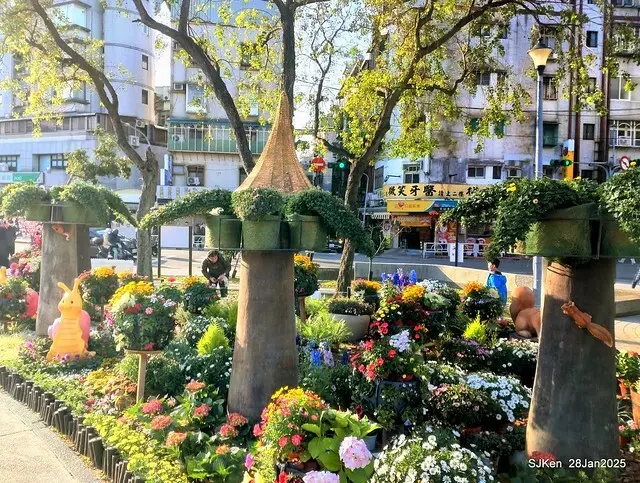 2025內湖樂活公園夜櫻季(Cherry Blossoms exhibition at Naihu park, Taipei, Taiwan,  by SJKen, Jan 28, 2025)