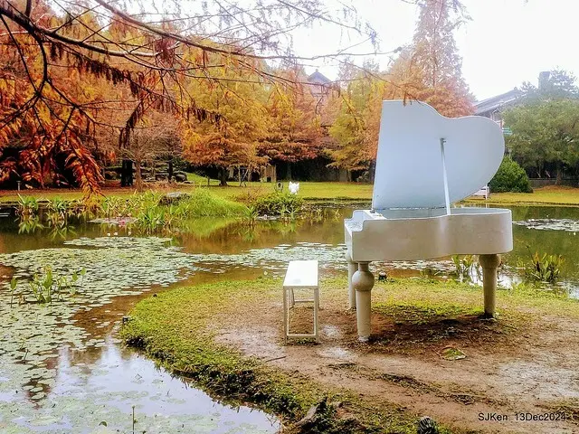 2024.12.13 造訪苗栗縣南庄雲水溫泉度假莊園落羽松湖秘境莊園(Bald Cypress lake landscape at Cloud-Water Resort Villa),   , Miaoli county, North Taiwan, photos by SJKen , Dec 13, 2024.