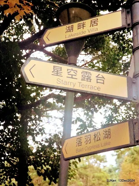 2024.12.13 造訪苗栗縣南庄雲水溫泉度假莊園落羽松湖秘境莊園(Bald Cypress lake landscape at Cloud-Water Resort Villa),   , Miaoli county, North Taiwan, photos by SJKen , Dec 13, 2024.