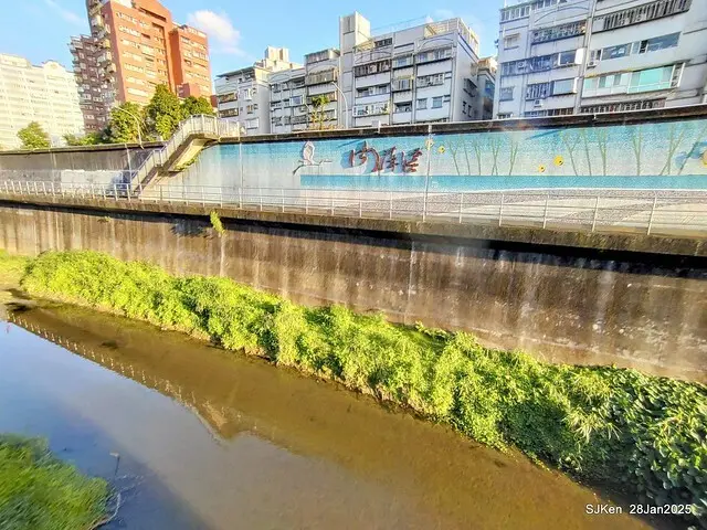 2025內湖樂活公園夜櫻季(Cherry Blossoms exhibition at Naihu park, Taipei, Taiwan,  by SJKen, Jan 28, 2025)
