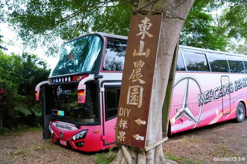 新竹採橘子「東山農園」，砂糖橘、桶柑、茂谷柑應有盡有，現採現