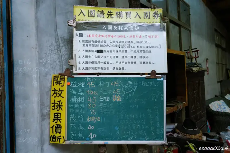 新竹採橘子「東山農園」，砂糖橘、桶柑、茂谷柑應有盡有，現採現