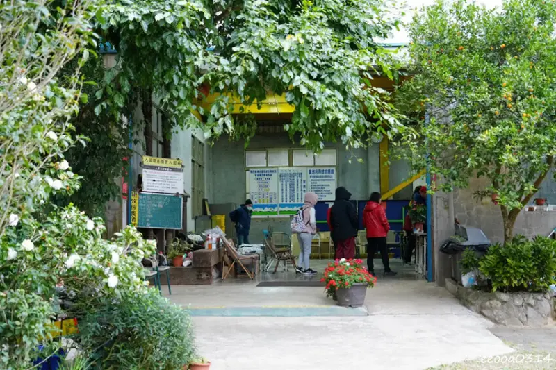 新竹採橘子「東山農園」，砂糖橘、桶柑、茂谷柑應有盡有，現採現