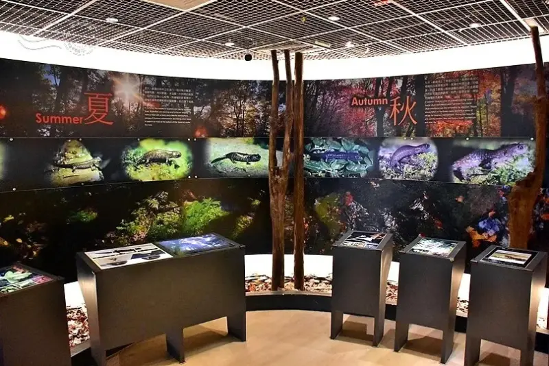 觀霧山椒魚生態中心