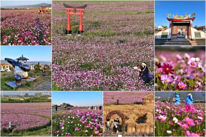 彰化田中【望高瞭花海季】