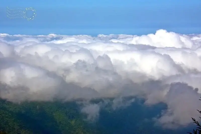 檜山巨木群步道