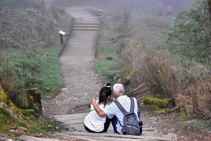 檜山巨木群步道