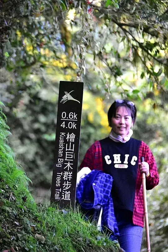 檜山巨木群步道