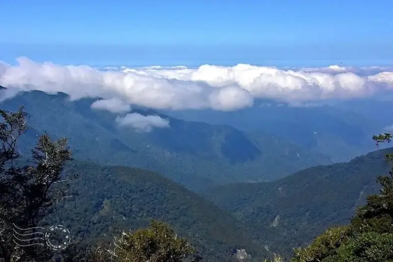 檜山巨木群步道