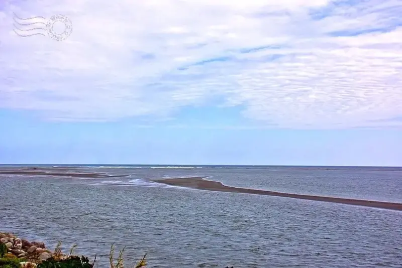 台開心農場:太平洋