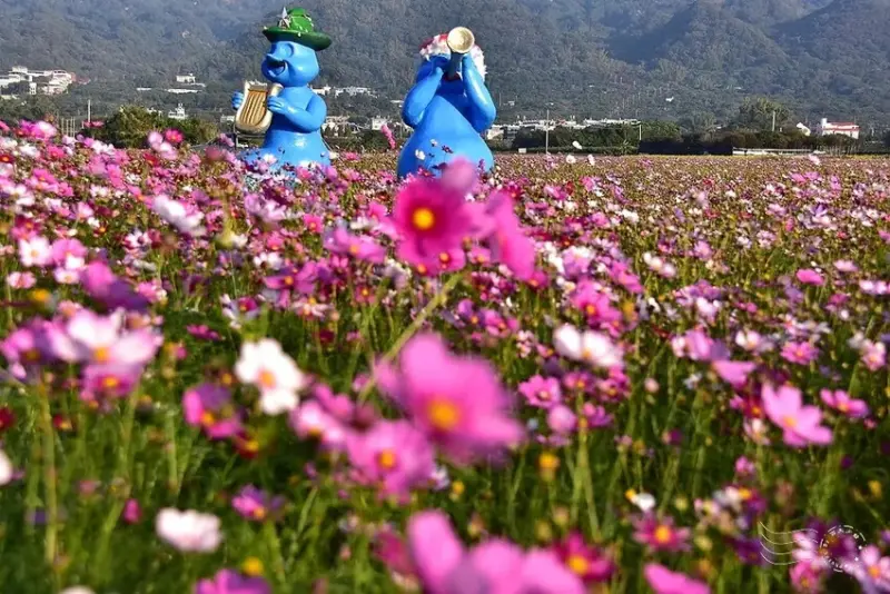 彰化田中【望高瞭花海季】