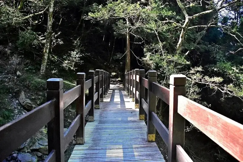 檜山巨木群步道