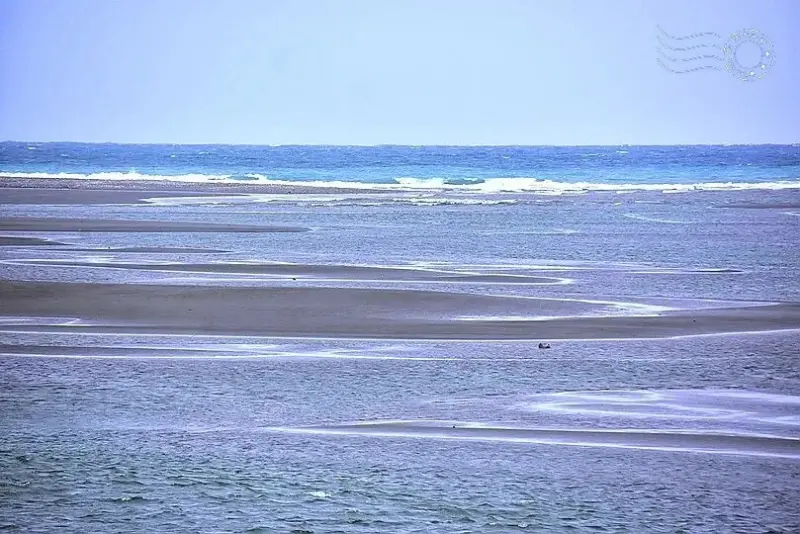 台開心農場:太平洋