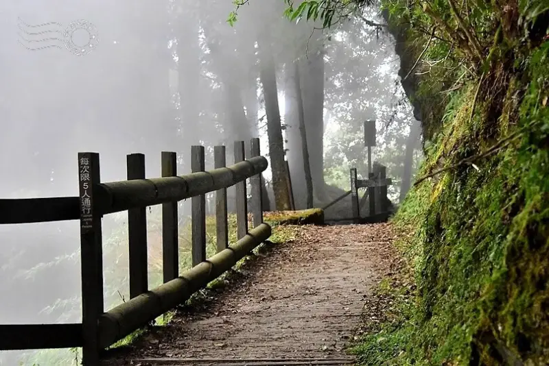 檜山巨木群步道
