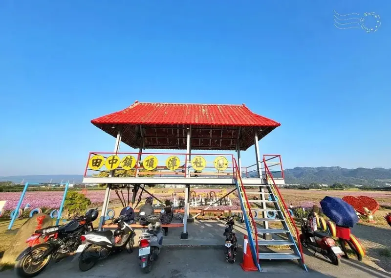 彰化田中【望高瞭花海季】