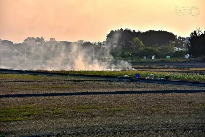 彰化田中望高瞭稻田