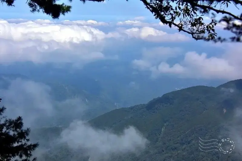 檜山巨木群步道