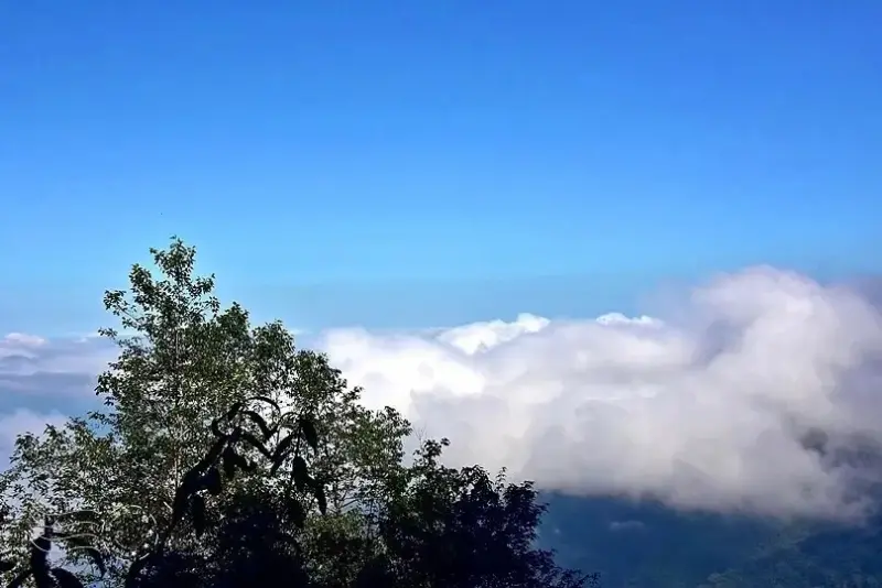 檜山巨木群步道