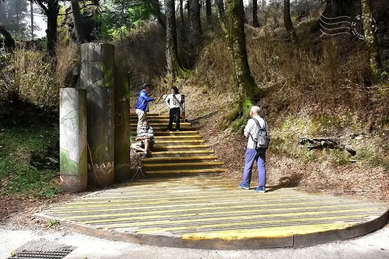 檜山巨木群步道登山口