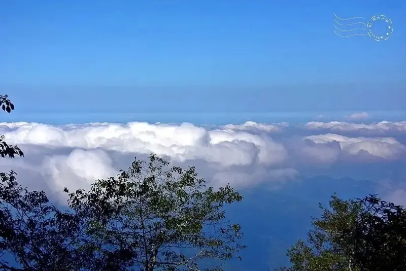 檜山巨木群步道
