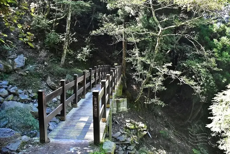 檜山巨木群步道