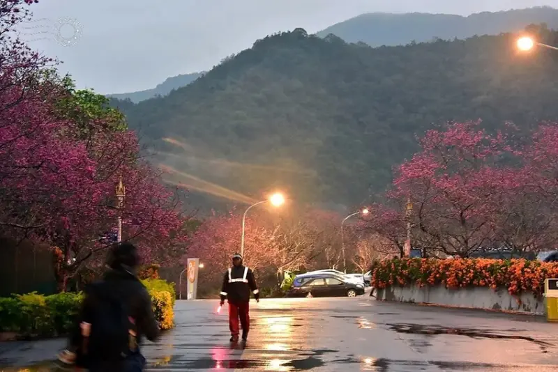 九族文化村:停車場