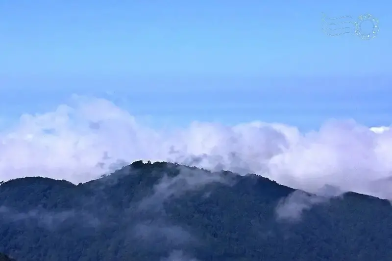 檜山巨木群步道