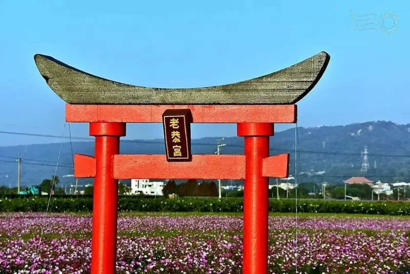 彰化田中【望高瞭花海季】