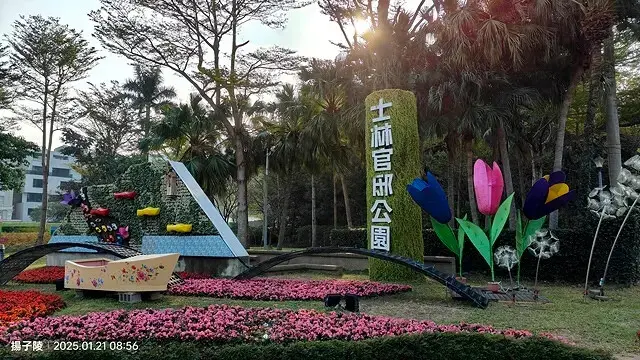 2025士林官邸公園，梅花1/21即時現況🌸｜2025台北士