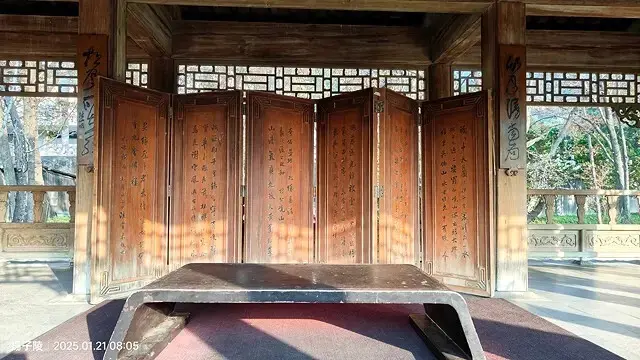 2025臺北士林至善園，梅花1/21即時現況🌸｜2025原住