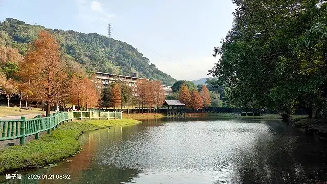 2025臺北士林至善園，梅花1/21即時現況🌸｜2025原住