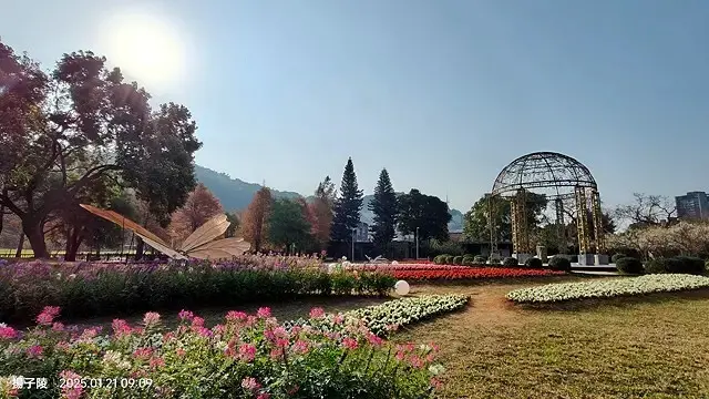 2025士林官邸公園，梅花1/21即時現況🌸｜2025台北士