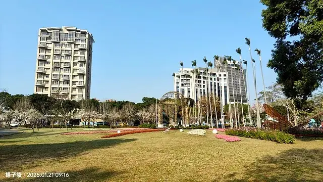 2025士林官邸公園，梅花1/21即時現況🌸｜2025台北士