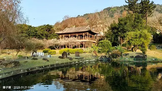 2025臺北士林至善園，梅花1/21即時現況🌸｜2025原住