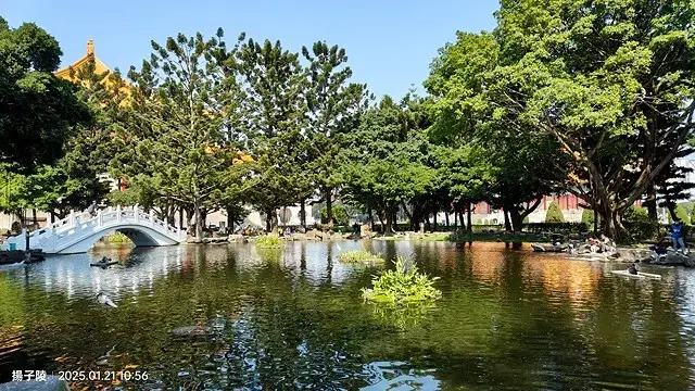 2025台北士林、雙溪公園，梅花1/21即時現況🌸｜2025