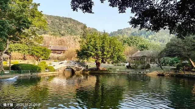 2025臺北士林至善園，梅花1/21即時現況🌸｜2025原住