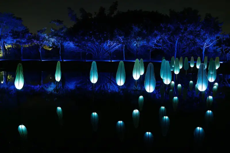 A24 風催葉_蔡宜婷.jpg